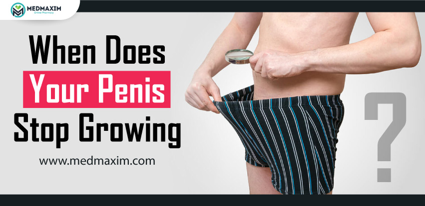 When Does Your Penis Stop Growing?