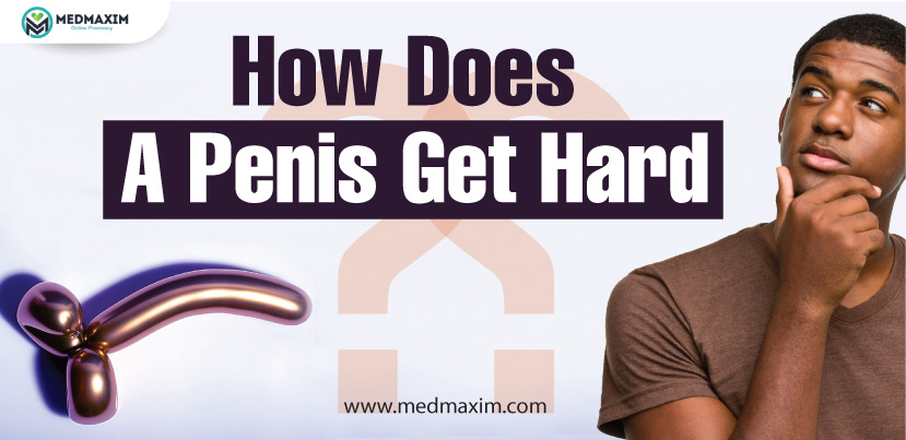 How Does A Penis Get Hard