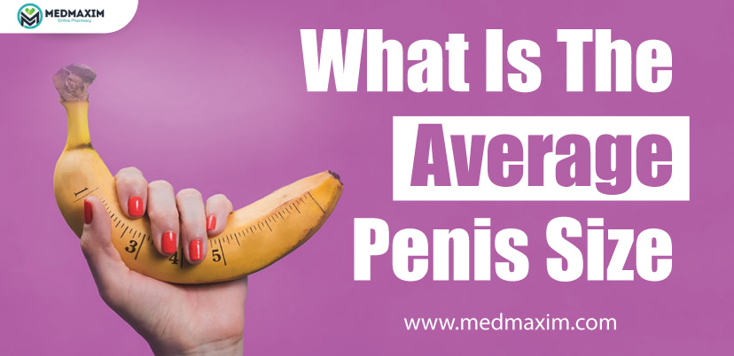 What Is The Average Penis Size