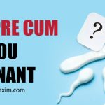 Can Pre Cum Get You Pregnant
