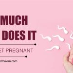 How Much Semen Does It Take To Get Pregnant