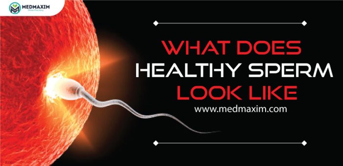 What Does Healthy Sperm Look Like Medmaxim 9823